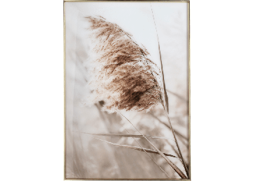 Okrasna slika, Breeze A 70x100