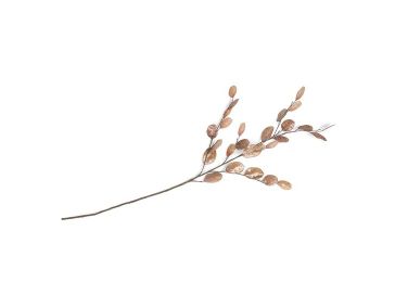 Dekoracija, Lunaria