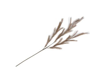Dekoracija, Feather