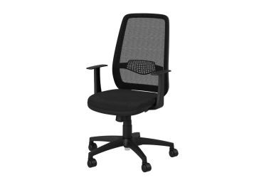 Pisarniški stol, Arizona