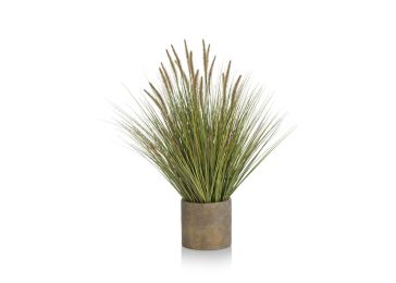 Dekoracija, Pennisetum 99 cm