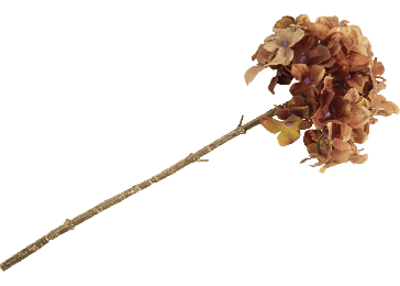 Dekoracija, Hydrangea 45 cm
