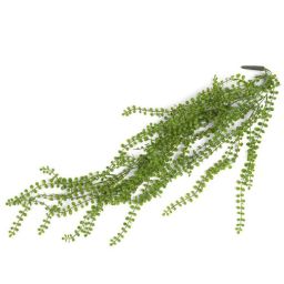 Dekoracija, Ficus pumila
