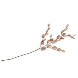 Dekoracija, Lunaria