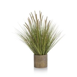 Dekoracija, Pennisetum 58 cm