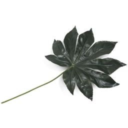 Dekoracija, Fatsia leaf