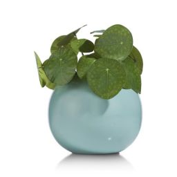 Okrasna vaza, Plano 16 cm